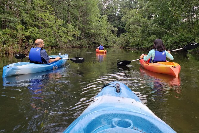 Half Day Kayak Rental on Sebago Lake - What’s Included in the Rental: Gear and Maps for Exploration