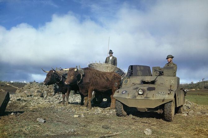 Half-Day Lajes Air Base Historic Sightseeing Tour - Key Points