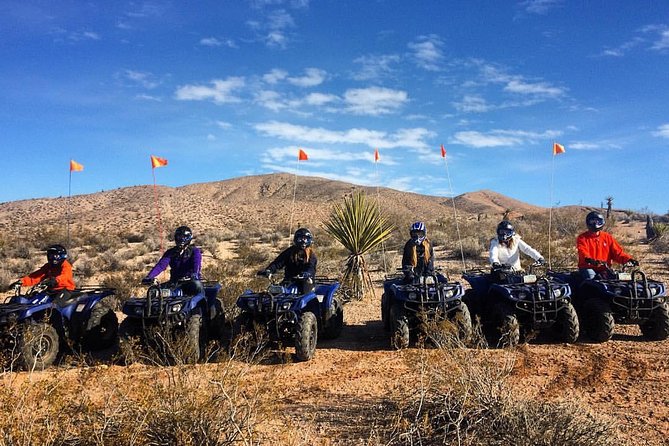 Half-Day Mojave Desert ATV Tour from Las Vegas - What Makes the Private Trail Special