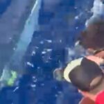 Half Day Morning Fishing Charter - What to Expect During Your 4-Hour Fishing Adventure