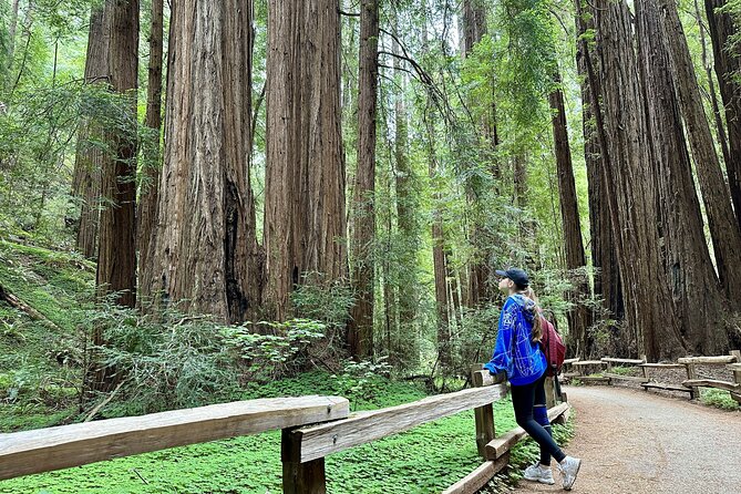 Half-Day Muir Woods & Sausalito Tour with Entry Ticket Included - Crossing the Golden Gate Bridge and Scenic Drive to Muir Woods
