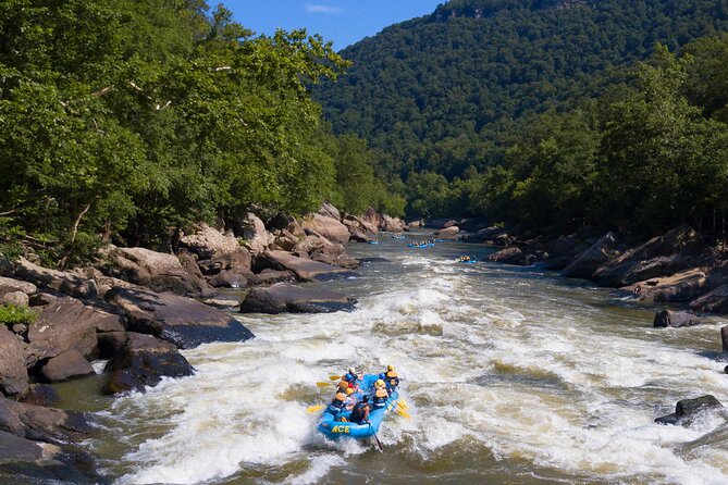 Half Day New River Gorge Whitewater Rafting - What Makes This Whitewater Rafting Trip Stand Out?