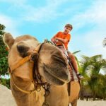 Half-Day Parasailing and Camel Caravan Tour in Maroma Beach - Soaring over Maroma Beach with Parasailing
