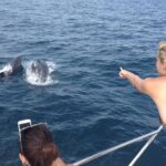 Half-Day Private Cruise with Drinks and Nibbles Included in Lagos - Beach Stops for Swimming and Water Activities