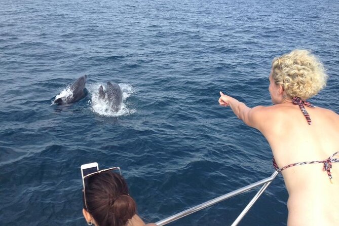 Half-Day Private Cruise with Drinks and Nibbles Included in Lagos - Beach Stops for Swimming and Water Activities