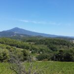 Half day private tour for 2-3 person - Key Points