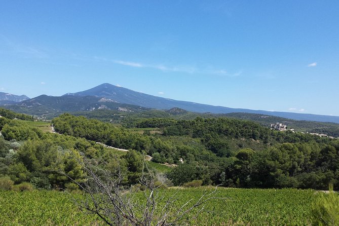 Half day private tour for 2-3 person - Key Points