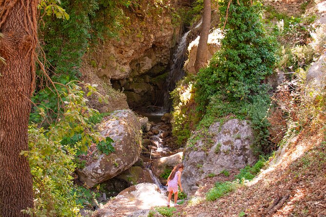 Half-Day Private Tour & Picnic in Real Cretan Countryside Retreat - Scenic Picnic Spot with Peacocks and Waterfalls
