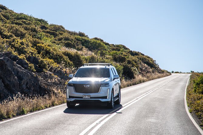 Half Day Private VIP Road to Hana Tour - Exploring Maui’s Flora and Natural Beauty at Keanae Arboretum and Waikamoi Ridge Trail