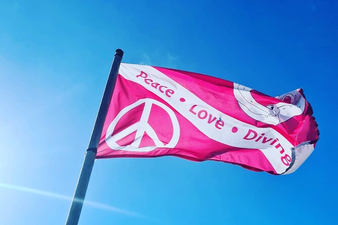 Half-Day Small-Group 2-Tank Scuba Dive in Key Largo (CERTIFIED DIVERS ONLY) - How the Boat and Dive Sites Are Managed