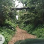 Half-Day Small-Group Madeira Village Safari from Funchal - Pickup and Drop-Off Make the Tour Hassle-Free