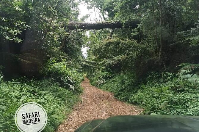 Half-Day Small-Group Madeira Village Safari from Funchal - Pickup and Drop-Off Make the Tour Hassle-Free