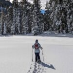 Half Day Snowshoe Hike in Tahoe National Forest - Paulys Point: The Showstopper View
