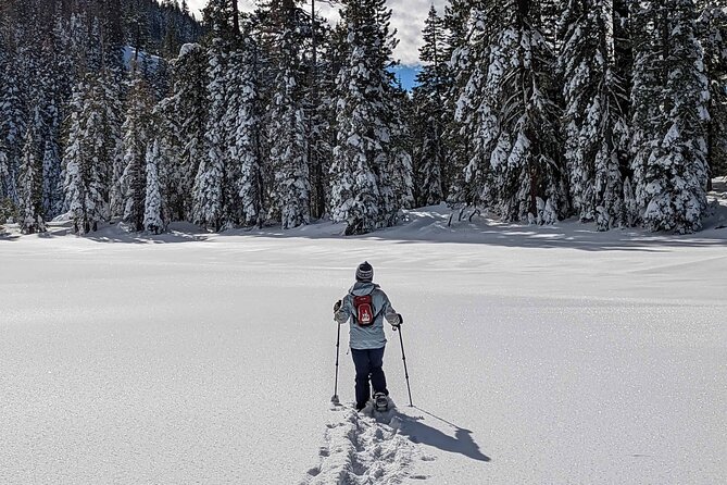 Half Day Snowshoe Hike in Tahoe National Forest - Paulys Point: The Showstopper View