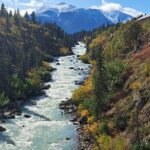 Half Day Suspension Bridge Tour in Skagway and Yukon - Visiting the Yukon Suspension Bridge: A Scenic Highlight