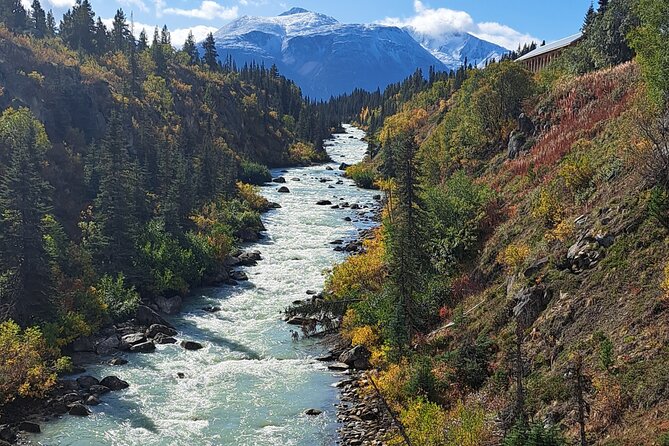 Half Day Suspension Bridge Tour in Skagway and Yukon - Visiting the Yukon Suspension Bridge: A Scenic Highlight