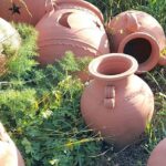 Half-Day Tour of Naxos Island (up to 7 pax) - Visiting Chalki Village and the Kitron Distillery