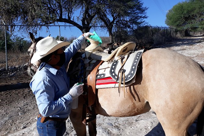 Half Day Trail Riding in San Miguel de Allende - The Scenic Trails Explore Rivers, Canyons, and Open Trails