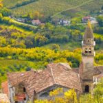 Half day trip to Motovun with Local Brandies Tasting - Discovering Motovun’s Medieval Charm