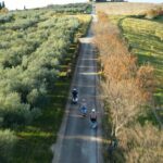 Half Day Vespa Countryside Tour and Tastings in Istria - Starting Point and Route Overview in Piran