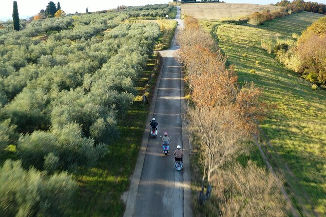 Half Day Vespa Countryside Tour and Tastings in Istria - Starting Point and Route Overview in Piran