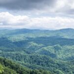 Half-Day Wine Tastings in the North Georgia Mountains - Second Stop: Ott Farms and Vineyard for More Tastings