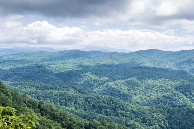 Half-Day Wine Tastings in the North Georgia Mountains - Second Stop: Ott Farms and Vineyard for More Tastings