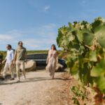 Half Day Wine Tour Around Evora - Visit to the Vineyards, Winery, and Regional Snacks