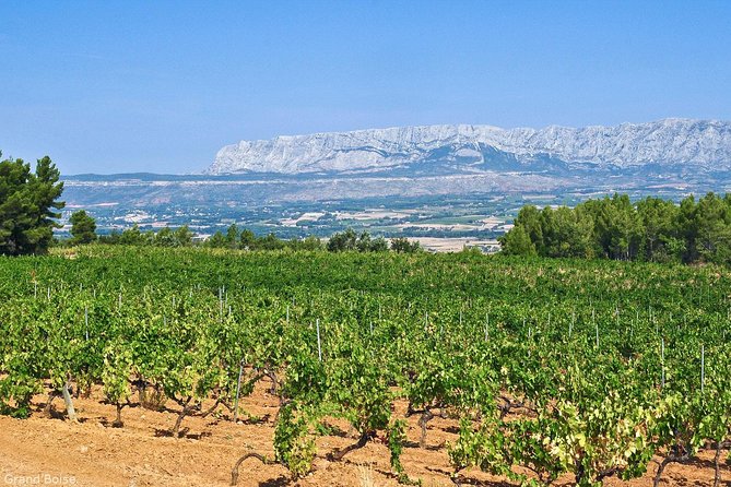 Half day Wine Tour in Côtes de Provence Sainte-Victoire from Aix en Provence - Tasting a Range of Wines at Each Estate