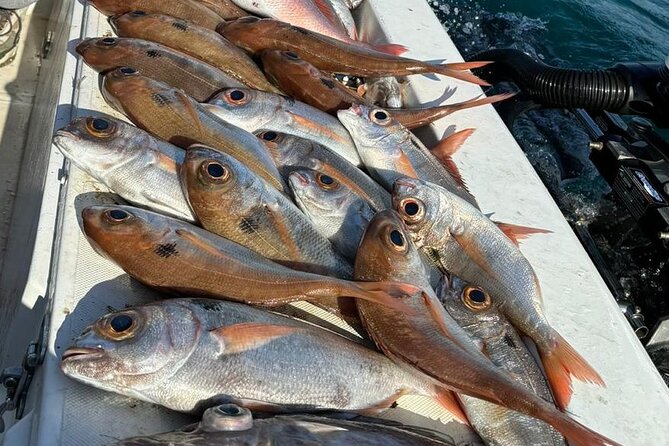 Half-seabed or rod fishing tour with bolentino - Exploring Ortigia’s Historic Coastline