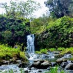 Halfway to Hana Tour of Maui Black Sand Beach Waterfalls Turtles - Visiting Puaa Kaaa State Park for Waterfalls and Rainforest