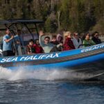 Halifax: 50-Minute Boat Tour of the Harbour - Set out on a Thrilling 50-Minute Ride on Halifax Harbour