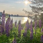 Halifax Like a Local Darkside Walking Tour - Maritime Exhibits and Harbour History at the Stops