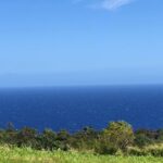 Hamakua Coast Farm Small-Group Walking and Tasting Tour - Convenient Location in Laupahoehoe