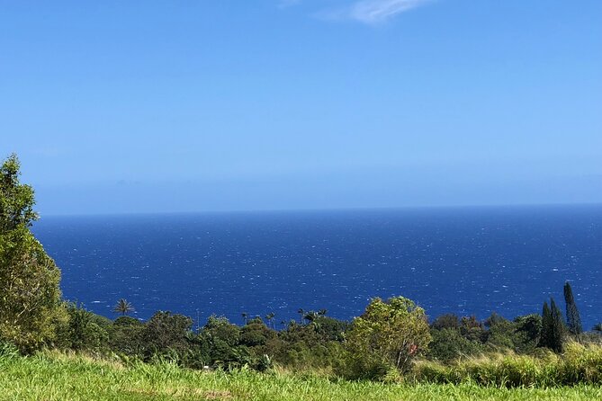 Hamakua Coast Farm Small-Group Walking and Tasting Tour - Convenient Location in Laupahoehoe