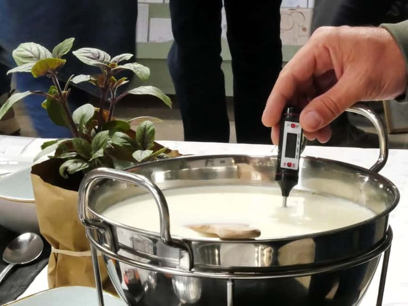 Hamburg: Mozzarella course with accompanying wines - Learning to Make Mozzarella in Hamburg’s Event Kitchen