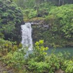 Hana Maui: Private Hana Adventure. Waterfalls, hidden beauty - What Makes This Tour Unique: Customization and Personal Attention