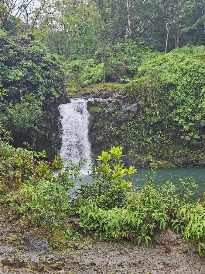 Hana Maui: Private Hana Adventure. Waterfalls, hidden beauty - What Makes This Tour Unique: Customization and Personal Attention