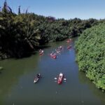 Hanalei Bay Morning Kayak and Snorkel Tour - Lunch on the Beach: Fresh, Local, and Convenient
