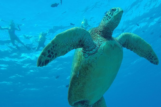 Hanauma Bay Guided Snorkel Tour (with guaranteed entrance time) - The Significance of Guaranteed Entrance and Skip-the-Line Access