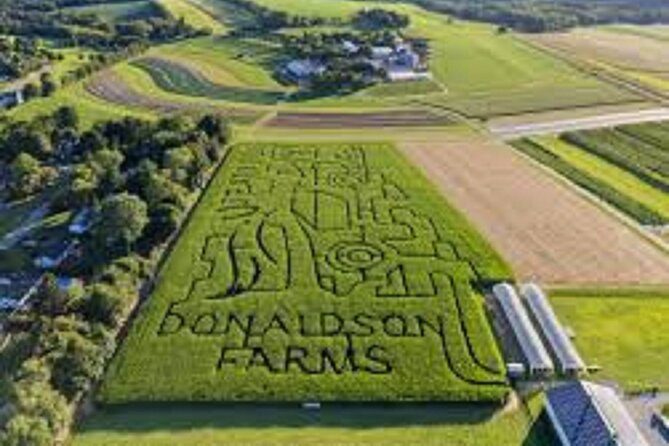 Happy Farm Fun Day Tour from NY | Kids 50% Off - Fruit Picking: Apples, Pumpkins, and Corn in Season
