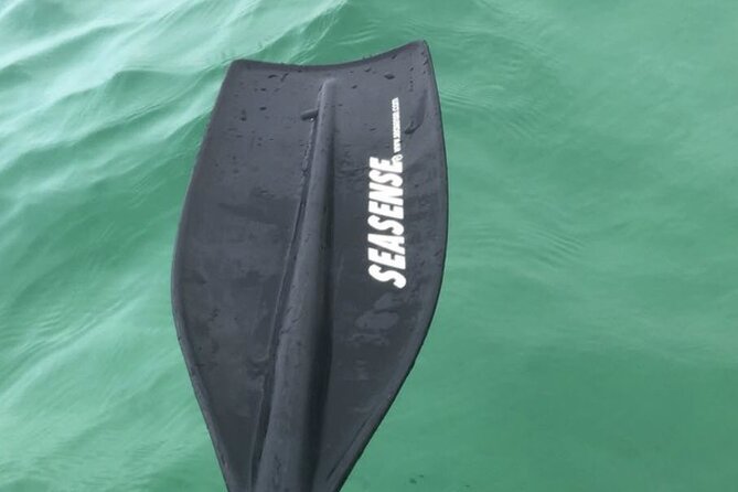 Harbor Kayak Rental in Destin, Florida - Renting a Kayak for Destin Harbor: What’s Included
