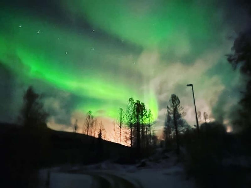 Harstad/Narvik: Northern Lights Tours with second day chance - The Route to the Best Northern Lights Spots