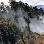 Hawaii Volcanoes National Park Experience from Kauai - Convenient Round-Trip Inter-Island Flights from Kauai