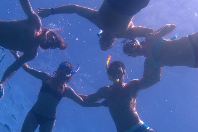 Hawaiian Canoe Sailing Experience in Maui - Sights and Marine Encounters Along the Wailea Coast