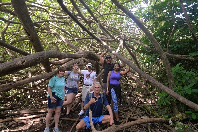 Hawaiian Waterfall Hike - Starting Point at 3607 Manoa Rd for a Rainforest Trek
