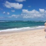 Hawaii's Best Private Build-Your-Tour Charter Service - Exploring Oahu’s Best Scenic Viewpoints and Landmarks