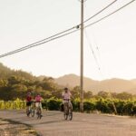 Healdsburg: Guided Electric Bike Wine Tour with Winery Stops - Meet Your Guide and Get Ready in Healdsburg