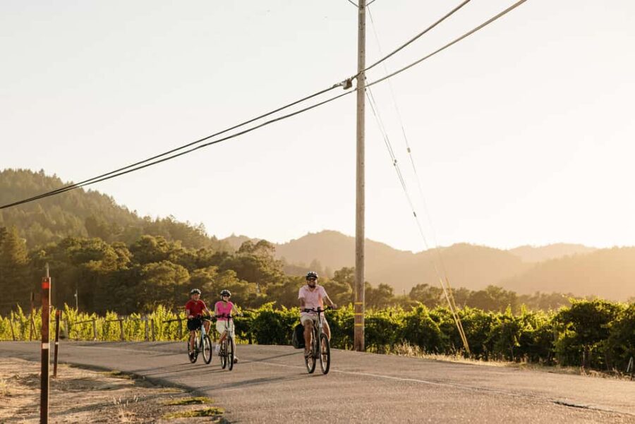 Healdsburg: Guided Electric Bike Wine Tour with Winery Stops - Meet Your Guide and Get Ready in Healdsburg