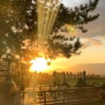 Heart of Willamette Winery Pass 2024: Wine Tastings and Discounts - Exploring Ankeny Vineyard’s Estate Wines and Live Music